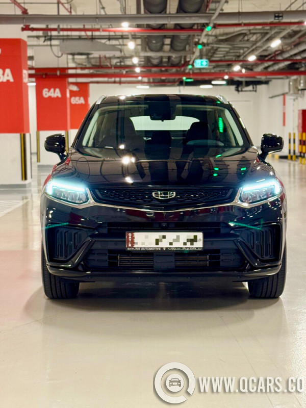 جيلي   توجيلا