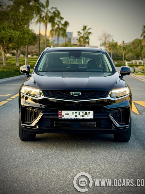 جيلي   توجيلا